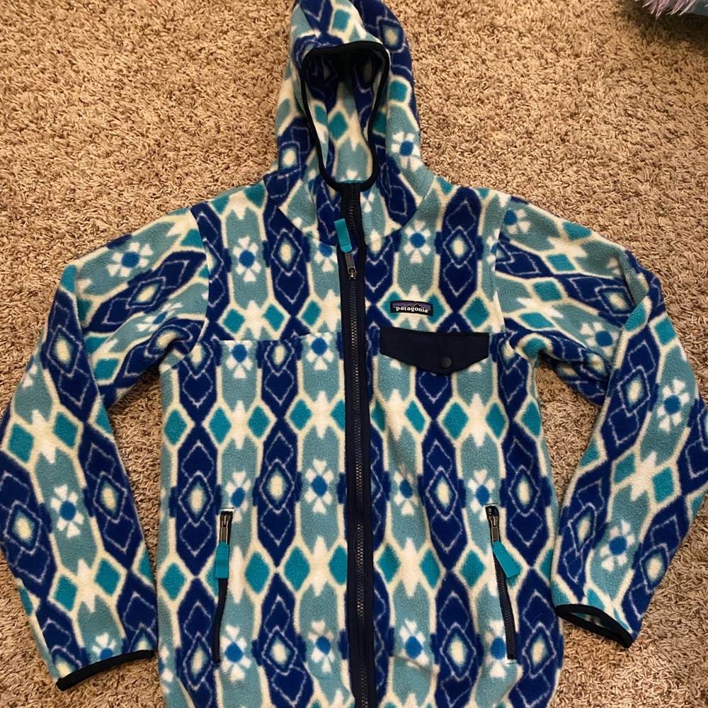 Hooded Patagonia Patterned Synchilla Jacket